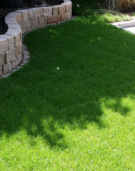 Pflegearbeit in Köln
