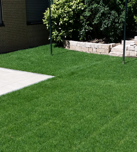 Pflanzungen - Gartenbau Caner - Pflasterarbeiten und Gartengestaltung